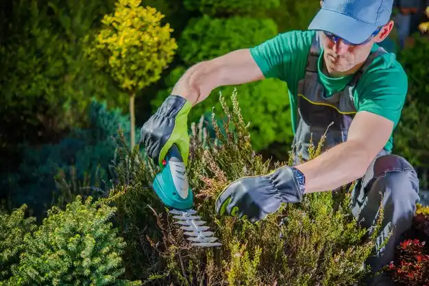 landscaping services Cottleville